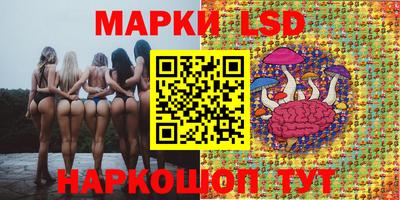 Альфа ПВП Пугачёв