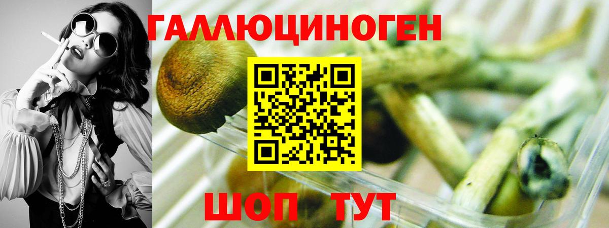 Галлюциногенные грибы Magic Shrooms  Псилоцибиновые грибы прущие грибы  Вход с VPN  Советск 